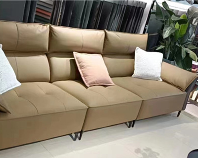 ������-ɳ��ϵ��