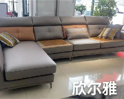 ������-ɳ��ϵ��