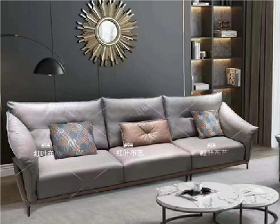 ������-ɳ��ϵ��