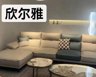 ������-ɳ��ϵ��