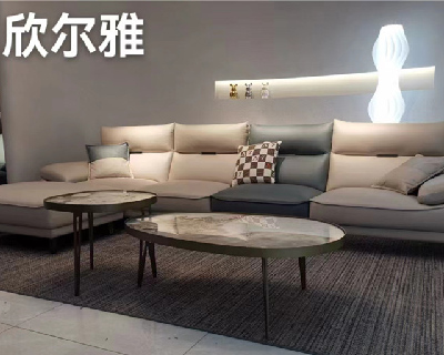 ������-ɳ��ϵ��